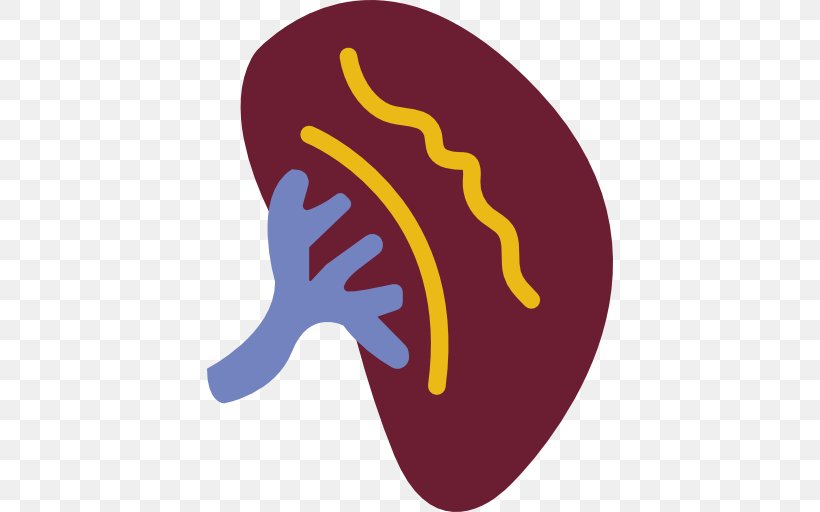 Diseases Icon, PNG, 512x512px, Urology, Comptegouttes, Disease, Kidney, Logo Download Free