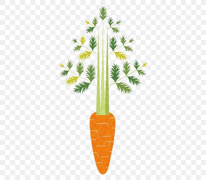 Oisix CRAZY For VEGGY Food Illustrator Vegetable Illustration, PNG, 509x720px, Food, Art, Carrot, Flower, Flowerpot Download Free