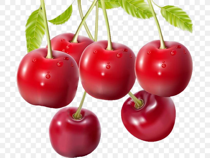 Barbados Cherry Malpighia Glabra Auglis, PNG, 691x619px, Barbados Cherry, Acerola, Acerola Family, Apple, Auglis Download Free