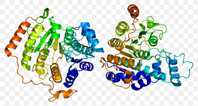 Histone Deacetylase Inhibitor HDAC8 Histone Code, PNG, 1132x611px, Histone Deacetylase, Acetylation, Chromatin, Enzyme, Histone Download Free