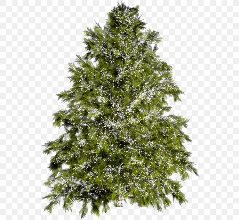 Light Christmas Tree Pine Tree Farm, PNG, 550x757px, Light, Artificial Christmas Tree, Branch, Christmas, Christmas Decoration Download Free
