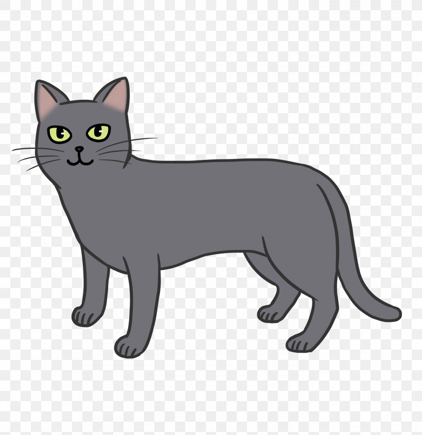 Manx Cat Whiskers Korat American Wirehair Burmese Cat, PNG, 2756x2846px, Manx Cat, American Wirehair, Asian, Black, Black Cat Download Free
