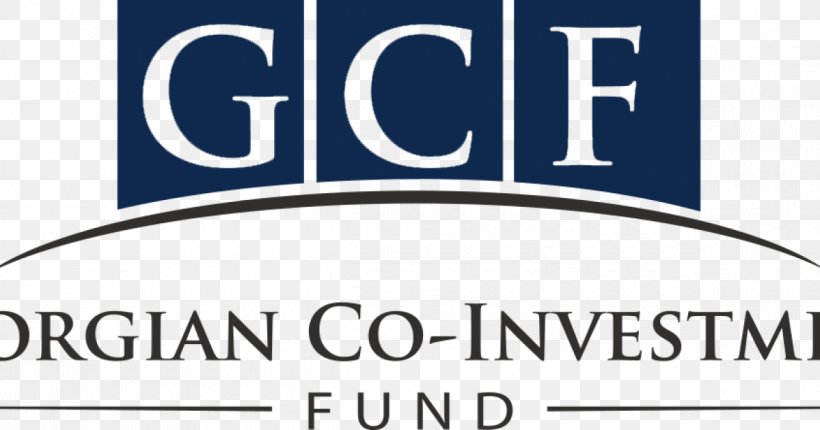 Business Georgian Co-Investment Fund Anagi LLC HQ, PNG, 1200x630px, Business, Area, Banner, Blue, Brand Download Free