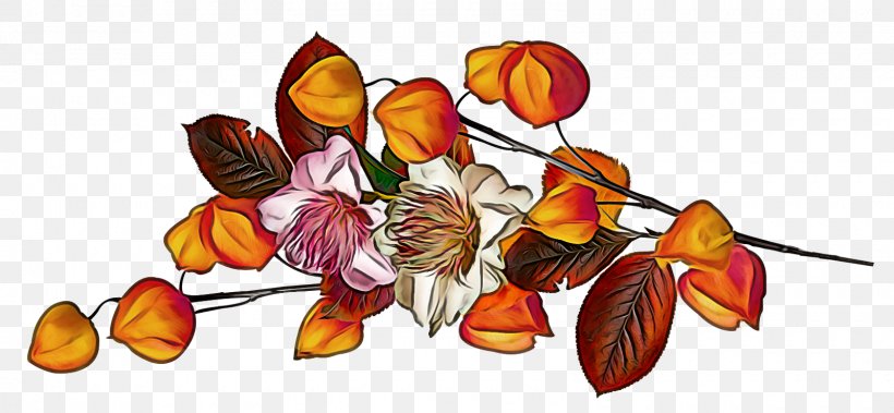 Clip Art Flower Plant Leaf Tulip, PNG, 1600x741px, Flower, Herbaceous Plant, Leaf, Petal, Plant Download Free