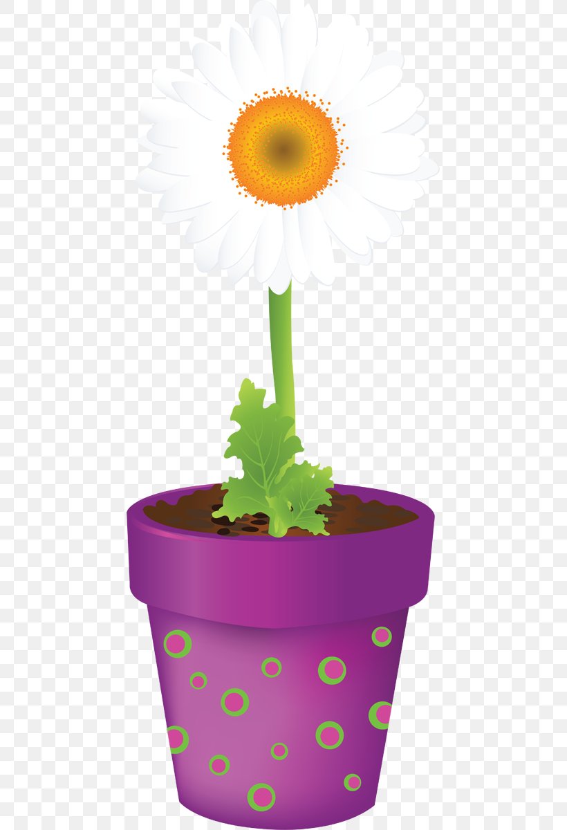 Flowering Plant Daisy Family Yellow, PNG, 453x1200px, Preview, Daisy Family, Flower, Flowering Plant, Flowerpot Download Free
