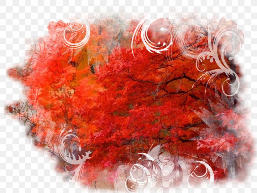 Red Collage Flower Clip Art, PNG, 1280x960px, Red, Collage, Flower, Flower Bouquet, Garden Download Free