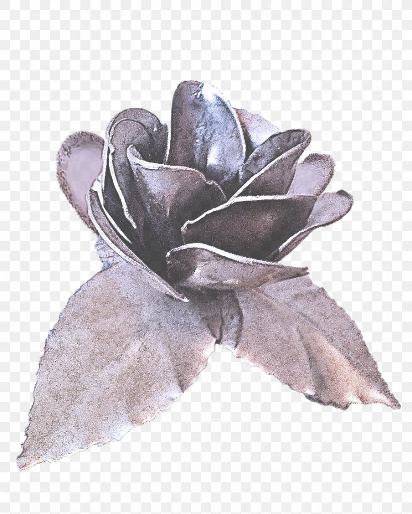 Violet Petal Leaf Lilac Flower, PNG, 900x1123px, Violet, Brooch, Flower, Iris, Leaf Download Free