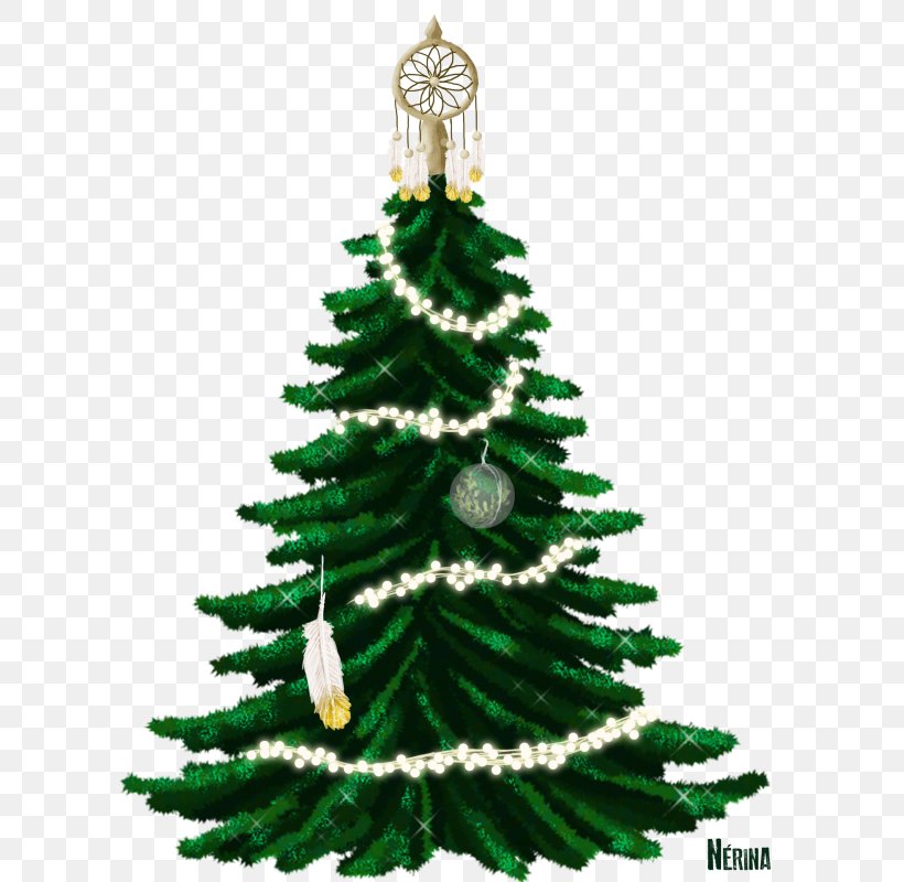 Christmas Tree Guirlande De Noël Fir, PNG, 630x800px, Christmas Tree, Christmas, Christmas Decoration, Christmas Ornament, Conifer Download Free