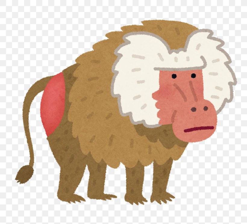 Hamadryas Baboon Japanese Macaque Monkey いらすとや, PNG, 800x745px, Hamadryas Baboon, Animal, Animal Figure, Baboons, Big Cats Download Free