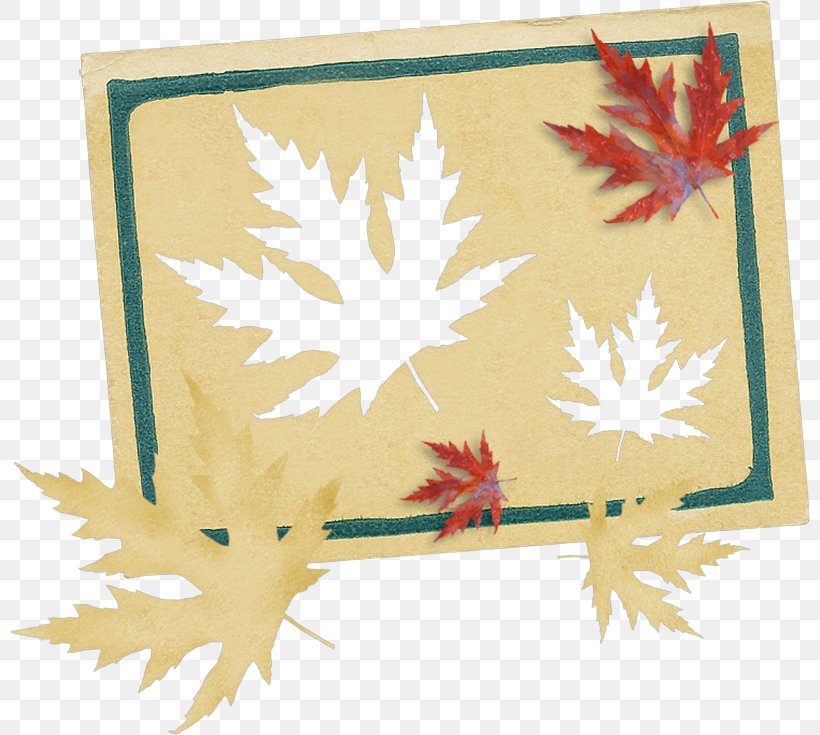 Maple Leaf Papercutting, PNG, 800x735px, Maple Leaf, Creativity, Label, Leaf, Maple Download Free