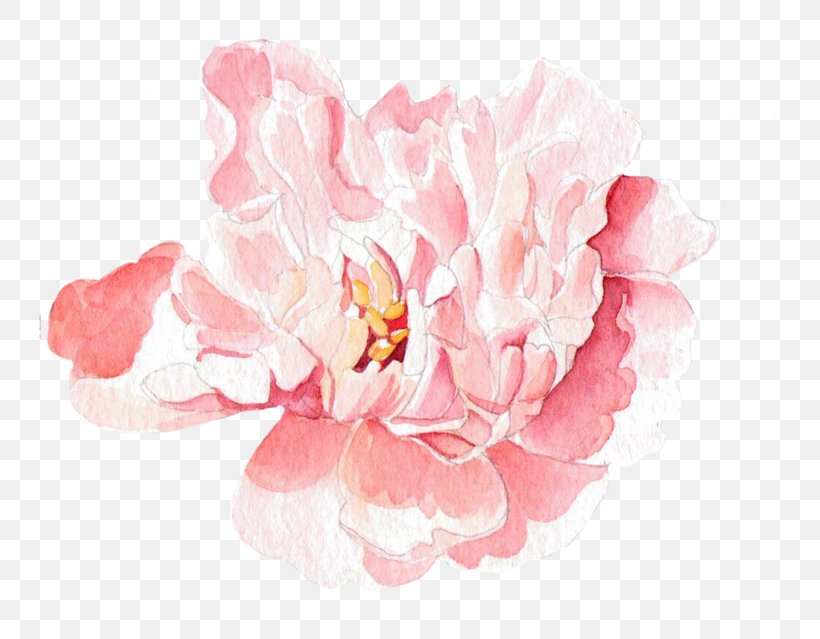 Moutan Peony Floral Design Watercolor Painting, PNG, 800x639px, Peony, Blossom, Cut Flowers, Floral Design, Floristry Download Free