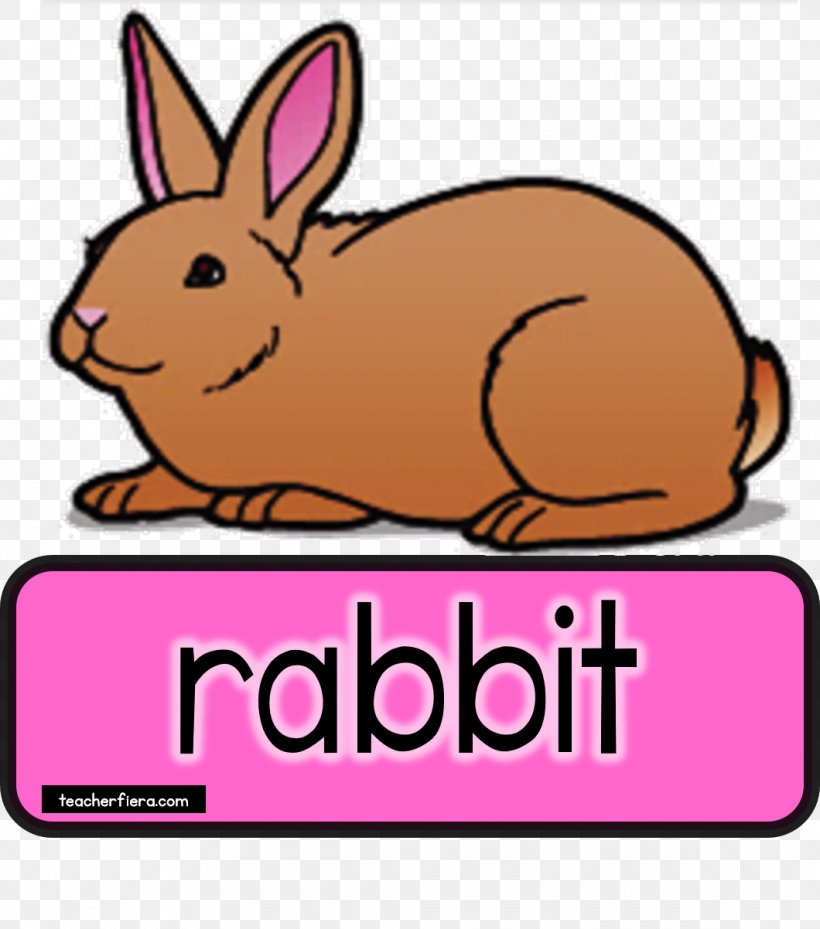 Rabbit Blog Clip Art, PNG, 1060x1202px, Rabbit, Area, Artwork, Blog, Domestic Rabbit Download Free