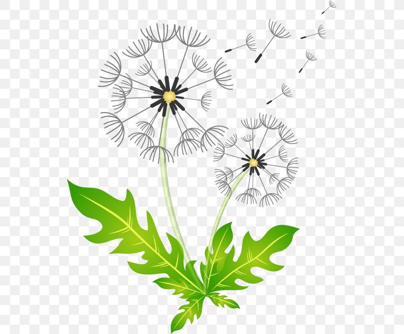 Royalty-free Dandelion Illustration, PNG, 547x679px, Royaltyfree, Black And White, Branch, Cartoon, Chrysanths Download Free