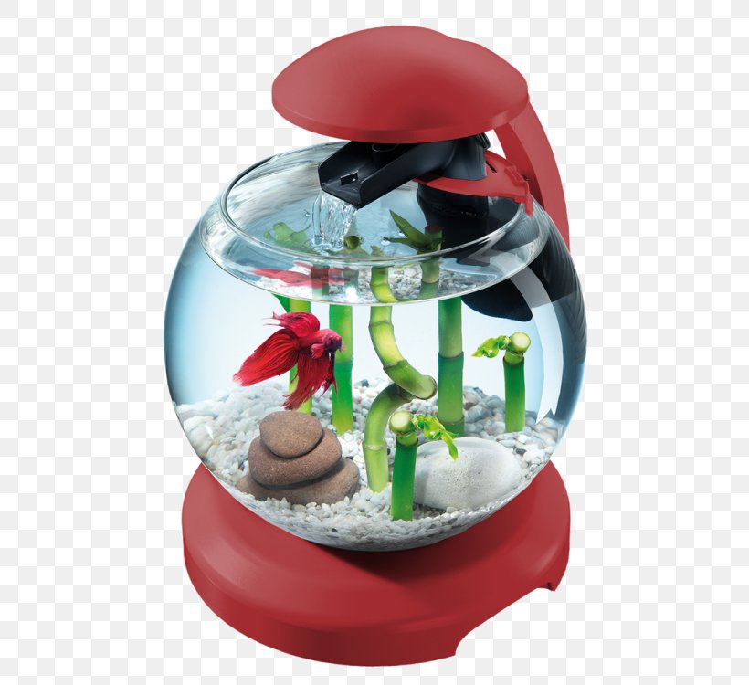 Siamese Fighting Fish Aquarium Tetra Cascade Globe Goldfish, PNG, 750x750px, Siamese Fighting Fish, Animal, Aquarium, Fish, Fishkeeping Download Free