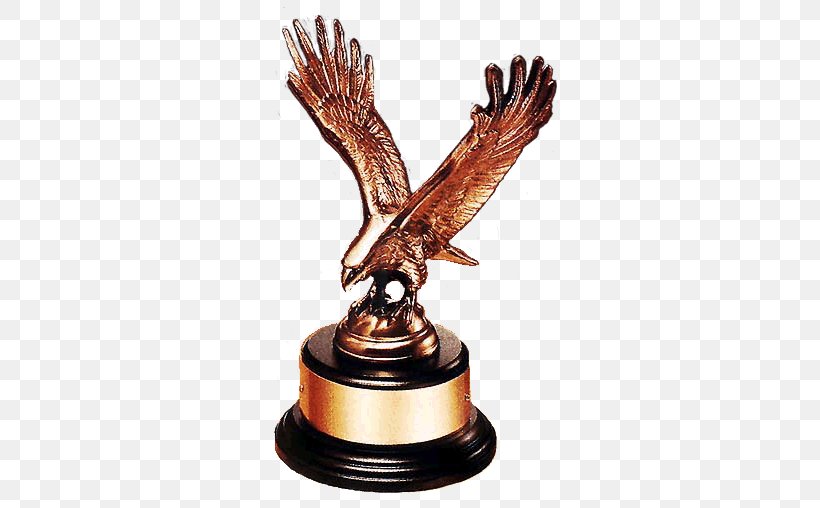 Trophy Award Eagle Bronze Commemorative Plaque, PNG, 508x508px, Trophy, Award, Bronze, Casting On, Com Download Free