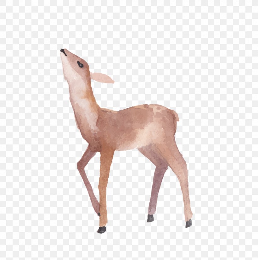 Deer Watercolor Painting, PNG, 1013x1024px, Deer, Animal Figure, Antelope, Antler, Canvas Download Free
