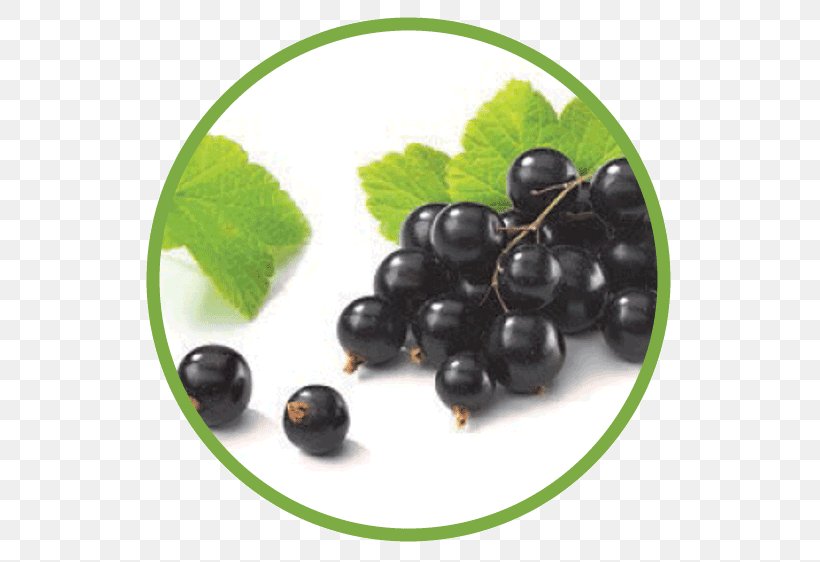 Juice Blackcurrant Seed Oil Extract, PNG, 562x562px, Juice, Aristotelia Chilensis, Berry, Bilberry, Black Raspberry Download Free