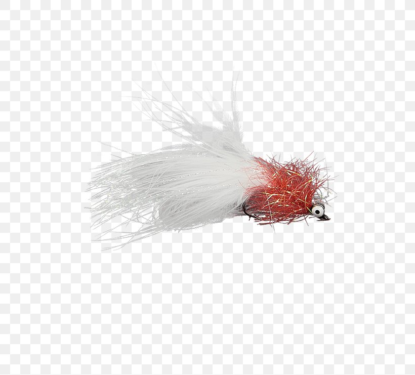 Okeechobee Artificial Fly Treatment Of Cancer Holly Flies, PNG, 555x741px, Okeechobee, Artificial Fly, Cancer, Cure, Feather Download Free