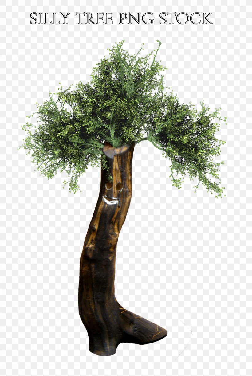 Tree Bonsai DeviantArt Graphic Design, PNG, 1600x2390px, Tree, Art, Artist, Bonsai, Branch Download Free