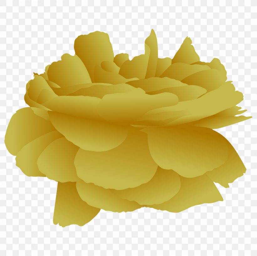 Yellow Petal Champagne Beach Rose Flower, PNG, 1600x1600px, Yellow, Beach Rose, Champagne, Color, Designer Download Free