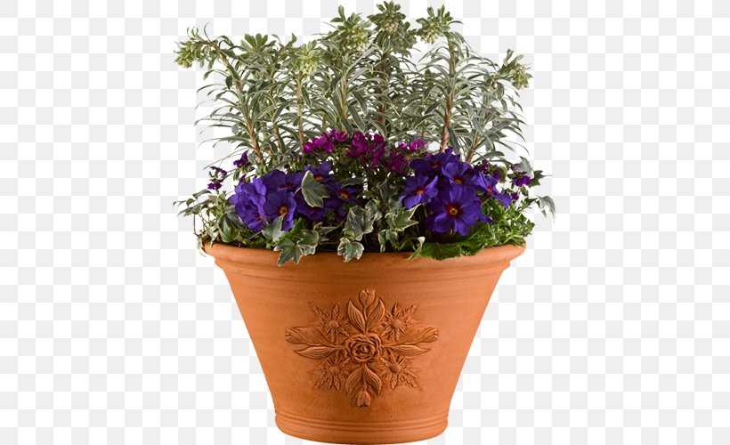 Chelsea Flower Show Flowerpot Houseplant, PNG, 500x500px, Chelsea Flower Show, Annual Plant, Bellflower Family, Container Garden, Cut Flowers Download Free