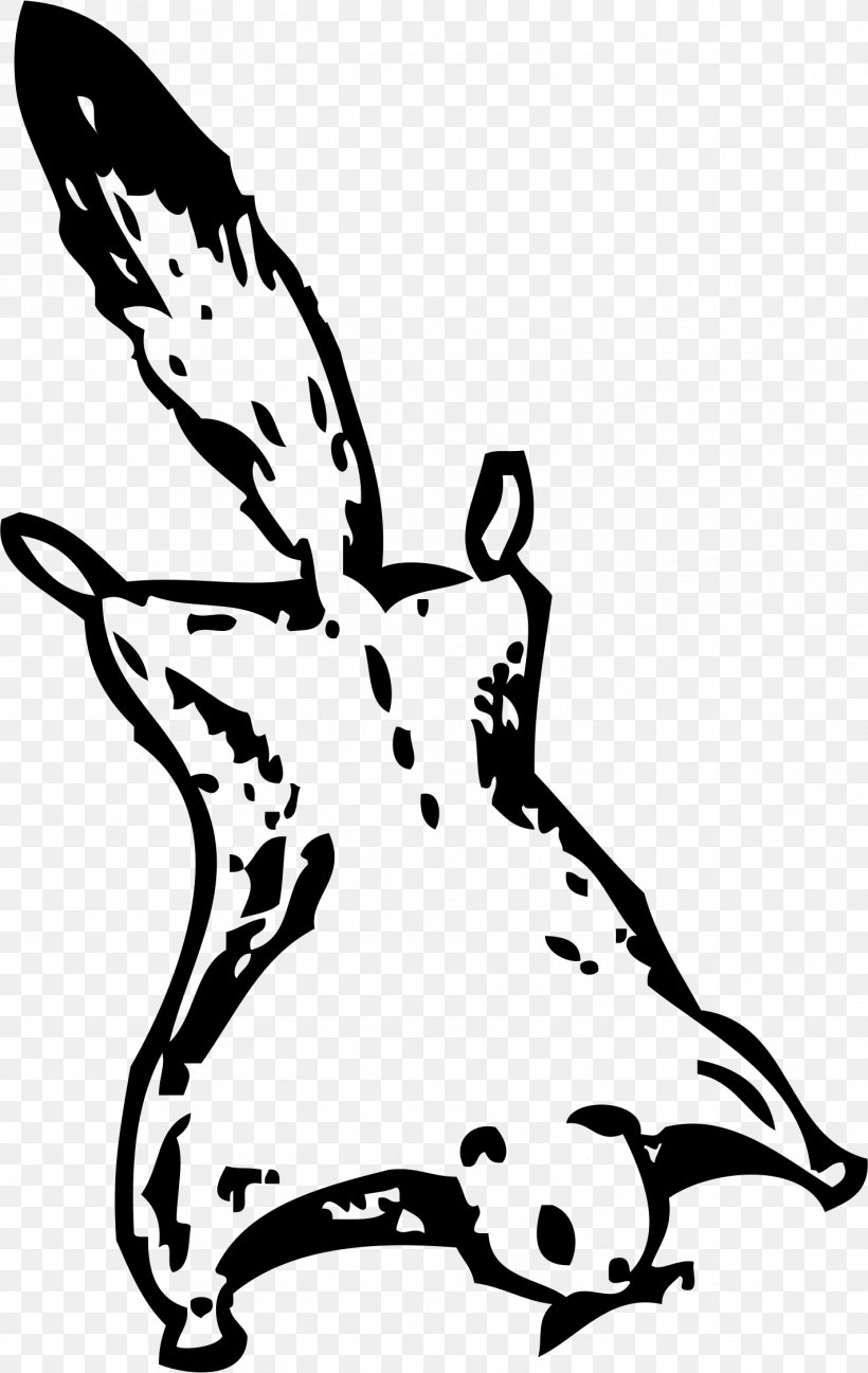 Flying Squirrel Clip Art, PNG, 1422x2250px, Squirrel, Art, Artwork, Beak, Bird Download Free