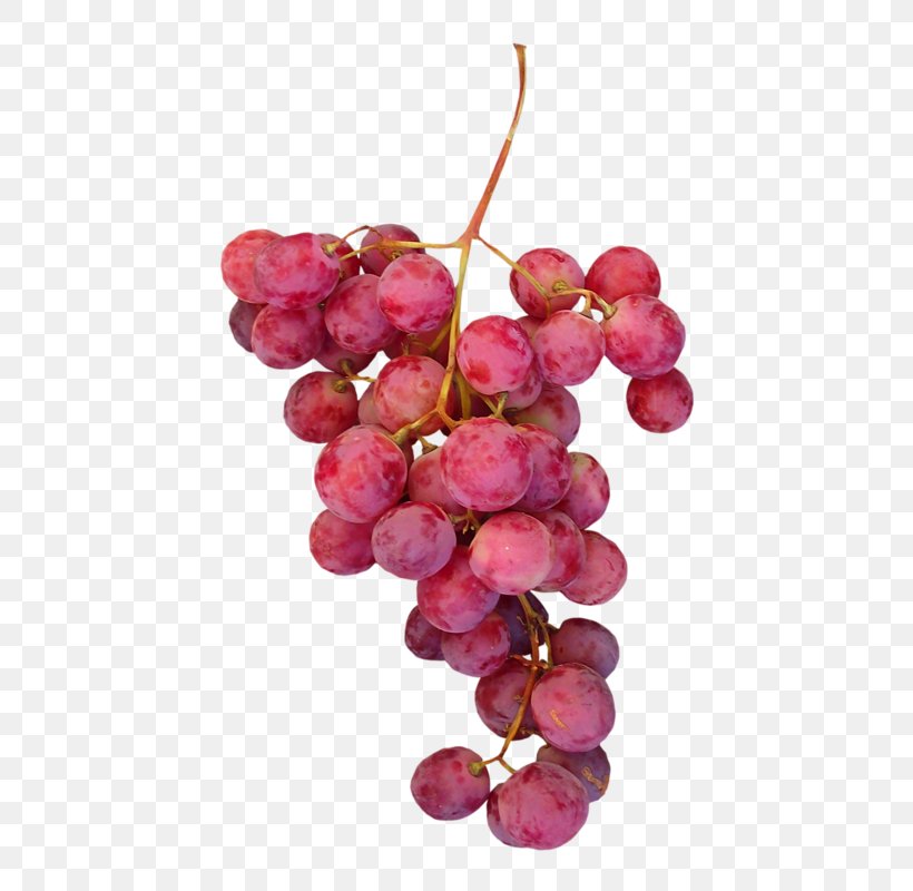Grape Leaves Fruit Raisin, PNG, 529x800px, Grape, Berry, Cherry, Designer, Food Download Free
