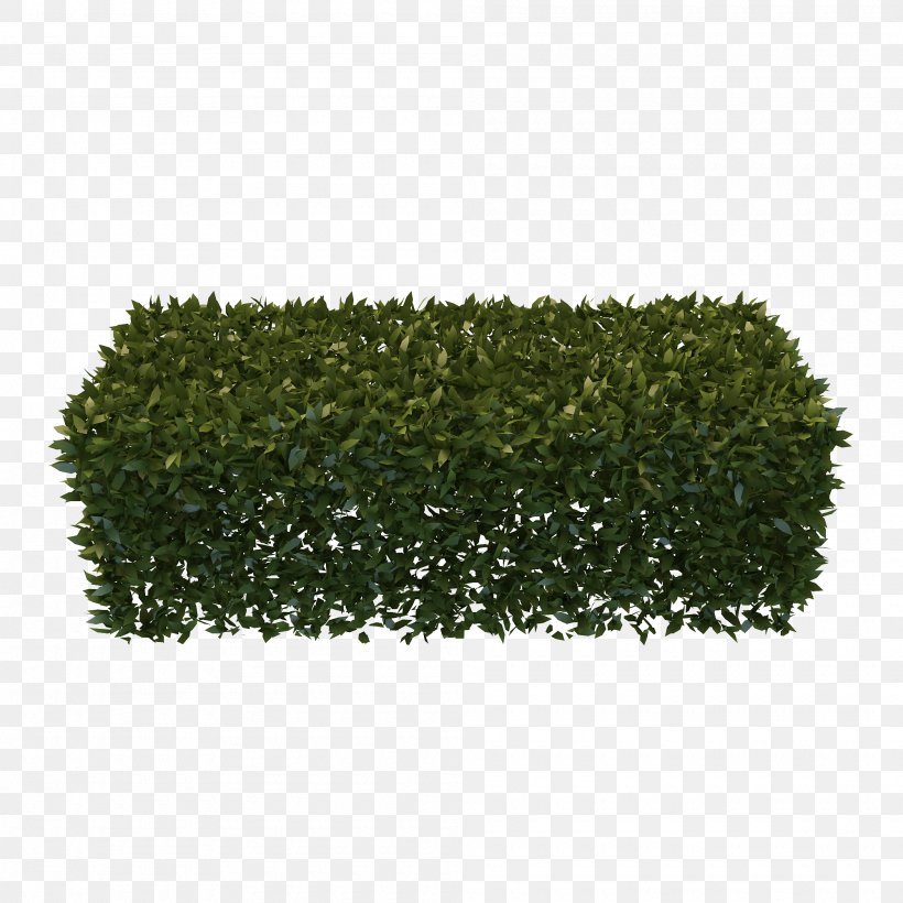 Hedge Shrub Box Three-dimensional Space, PNG, 2000x2000px, 3d Computer Graphics, Hedge, Background Process, Box, Evergreen Download Free