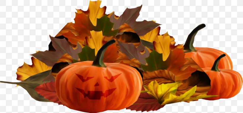 Leaf Osenniy, PNG, 1024x480px, Leaf, Calabaza, Carving, Cucurbita, Floral Design Download Free