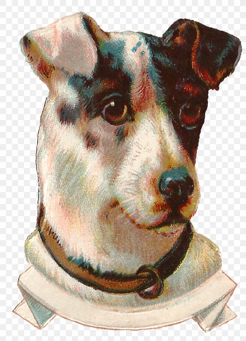 Rat Terrier Dog Breed Pet Dog–cat Relationship, PNG, 1154x1600px, Rat Terrier, Art, Breed, Carnivoran, Dog Download Free