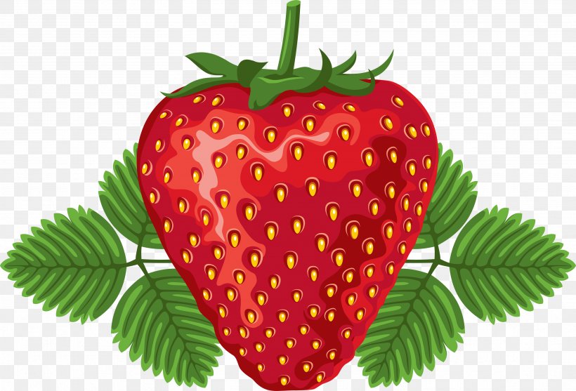 Strawberry Frutti Di Bosco Food Leaf Clip Art, PNG, 3528x2397px, Strawberry, Accessory Fruit, Animation, Apricot, Berry Download Free