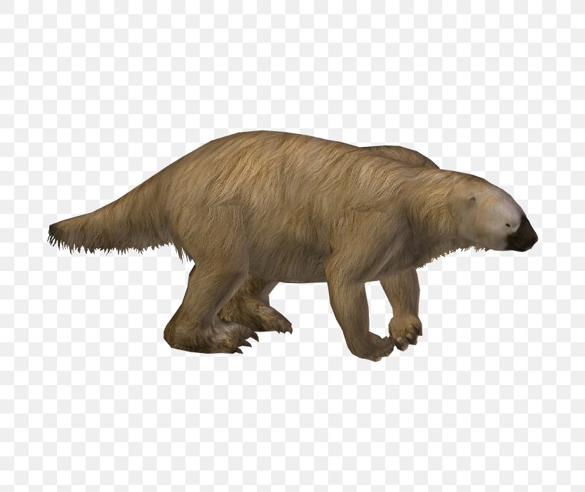 Zoo Tycoon 2 Hoffmann's Two-toed Sloth Ground Sloth Megalonyx, PNG, 690x690px, Zoo Tycoon 2, Animal, Animal Figure, Bear, Carnivoran Download Free