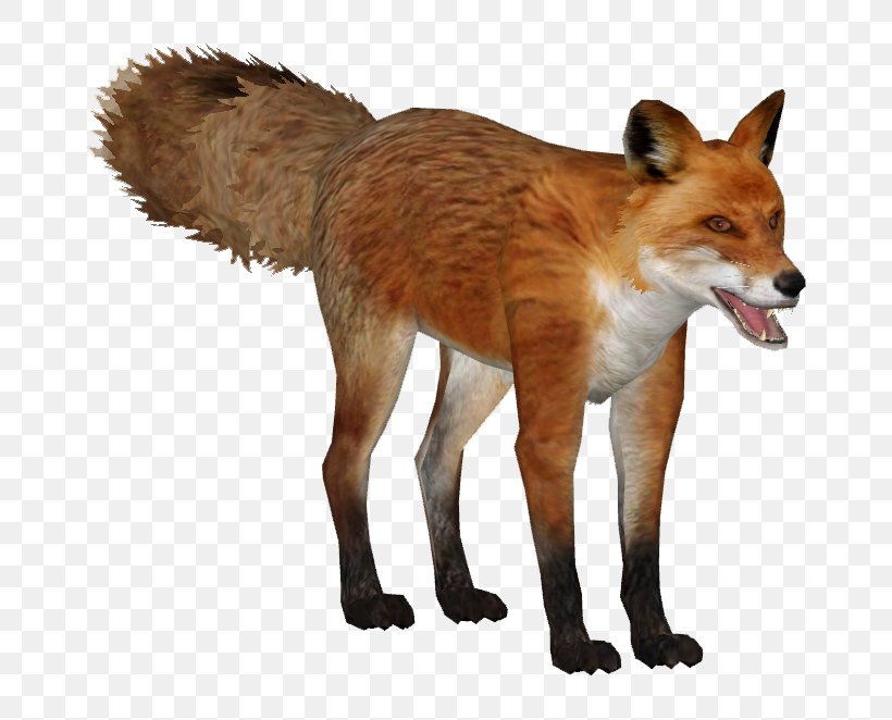 Zoo Tycoon 2 Kit Fox Dhole Wiki, PNG, 662x662px, Zoo Tycoon 2, Animal, Canidae, Carnivora, Carnivoran Download Free