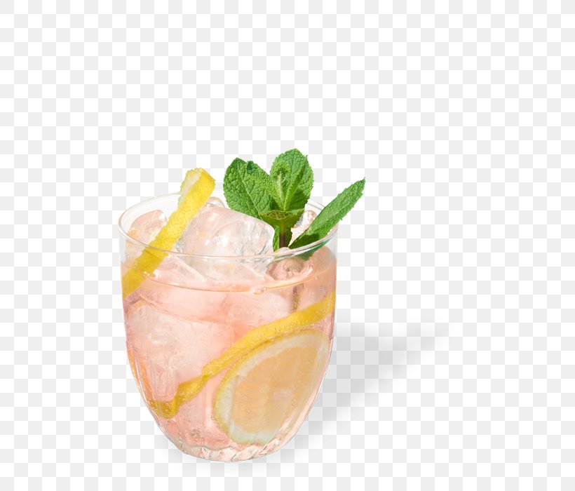 Cocktail Garnish Gin And Tonic Sea Breeze Mai Tai, PNG, 600x700px, Cocktail Garnish, Beverages, Cocktail, Drink, Drink Mixer Download Free