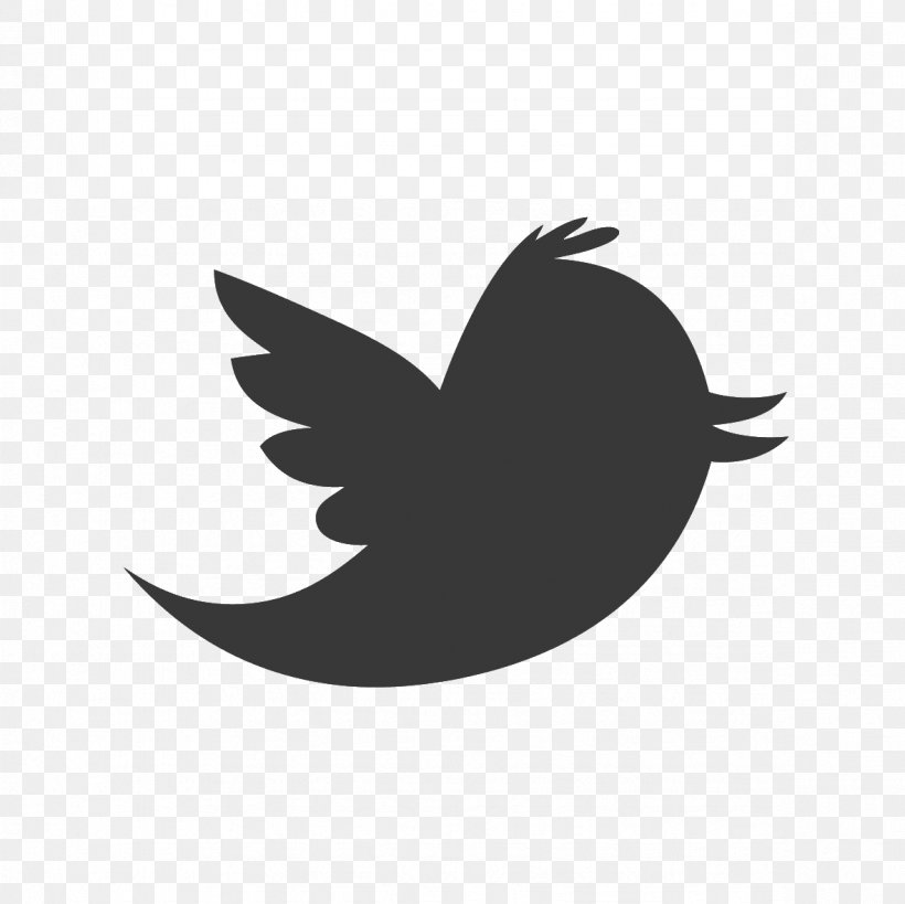 Logo Vector Graphics Social Media Clip Art Image, PNG, 1181x1181px, Logo, Beak, Bird, Black And White, Business Plan Download Free