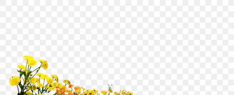 Petal Yellow Pattern, PNG, 3682x1500px, Petal, Computer, Floral Design, Flower, Grass Download Free