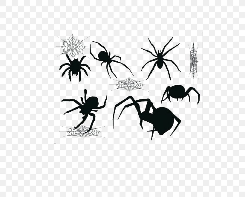 Widow Spiders Spider Web, PNG, 711x658px, Spider, Arthropod, Black, Black And White, Drawing Download Free