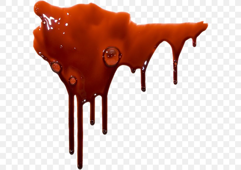 Blood Clip Art, PNG, 600x578px, Blood, Blood Plasma, Display Resolution, Orange, Red Download Free