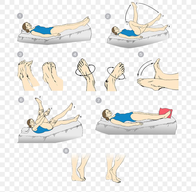 Exercise Hygiene Physical Activity Vein Plyometrics, PNG, 735x804px, Exercise, Basketball, Diabetic Foot, Foot, Footwear Download Free