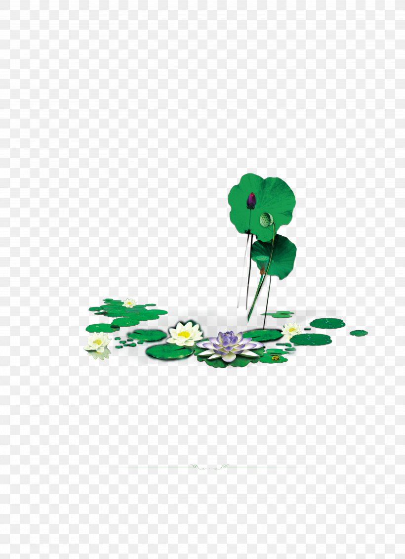 Nelumbo Nucifera Petal Clip Art, PNG, 4972x6862px, Nelumbo Nucifera, Flora, Flower, Flowering Plant, Grass Download Free