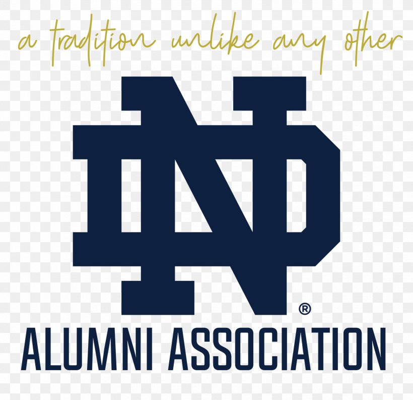 Rico Notre Dame Fighting Irish University Of Notre Dame Brand Under Armour Vehicle License Plates, PNG, 1650x1596px, University Of Notre Dame, Area, Blue, Brand, Import Download Free