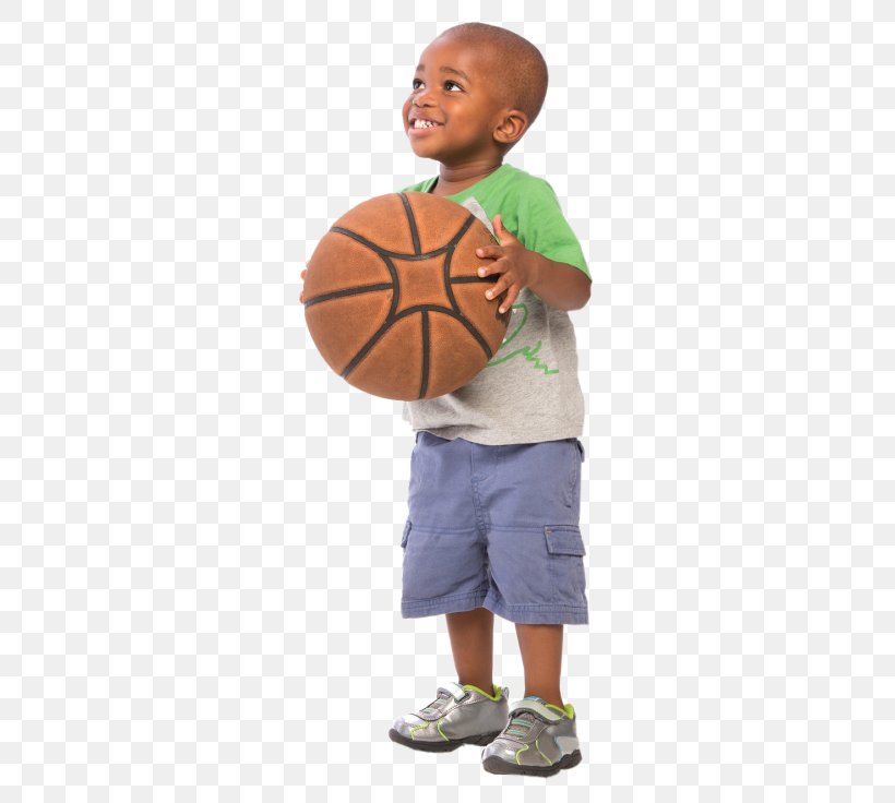 Basketball Child Belvidere Park Sport, PNG, 377x736px, Basketball, Arm, Backboard, Ball, Basket Download Free