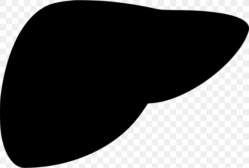 Clip Art Liver, PNG, 980x664px, Liver, Black, Black And White, Computer Software, Data Download Free