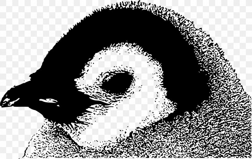 Emperor Penguin Bird Clip Art, PNG, 2346x1486px, Penguin, Beak, Bird, Black And White, Emperor Penguin Download Free