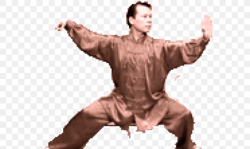 24-form Tai Chi Chuan Yang-style T'ai Chi Ch'uan 42-form Tai Chi Chuan Taiji, PNG, 600x490px, Tai Chi, Arm, Com, Exercise, Info Download Free