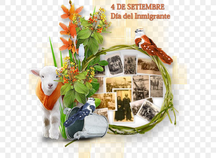 Día Del Inmigrante Oberá September 4 Immigration, PNG, 600x600px, September, Argentina, Floral Design, Flower, Gift Basket Download Free