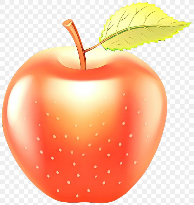 Fruit Natural Foods Leaf Apple Plant, PNG, 2831x3000px, Cartoon, Apple, Food, Fruit, Leaf Download Free