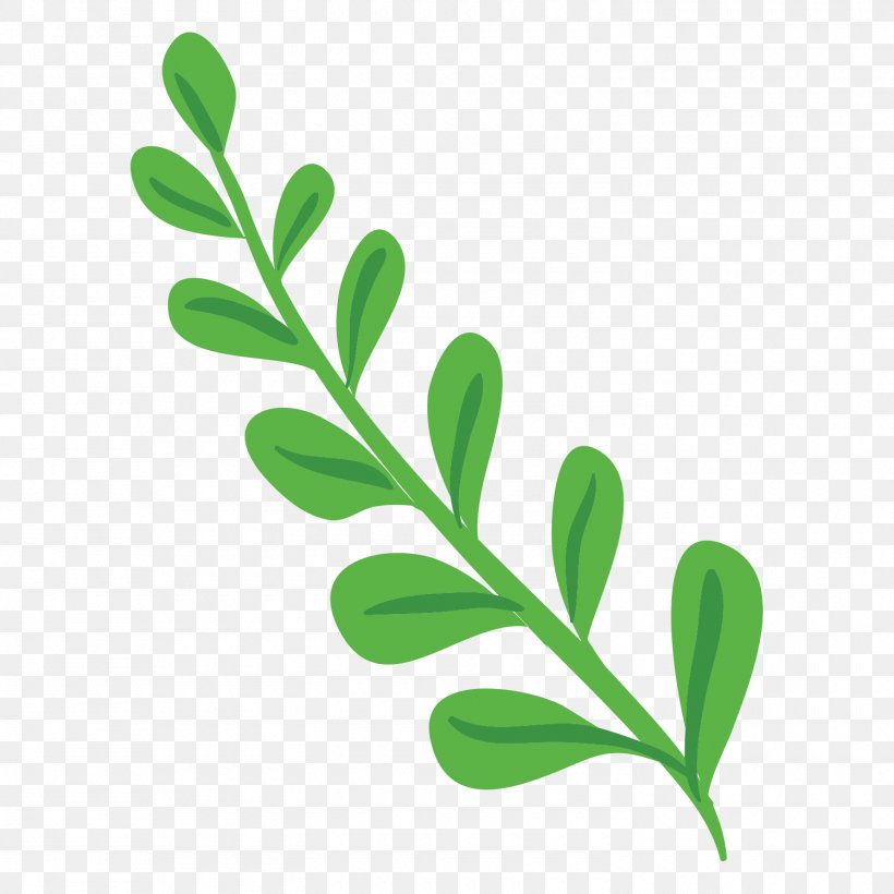 Flower Plant Stem Clip Art, PNG, 1500x1500px, Flower, Branch, Carnation, Commons, Creative Commons Download Free