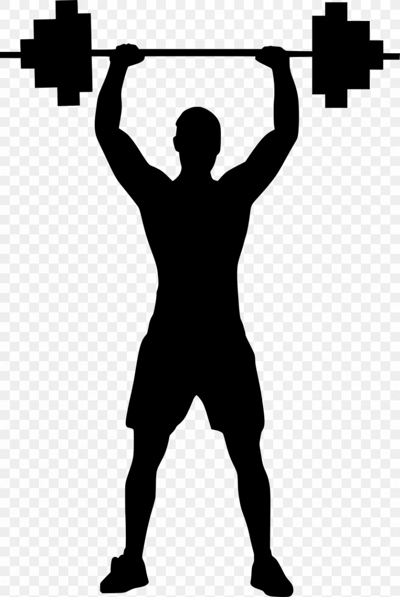 Image T-shirt Silhouette Vector Graphics Stock.xchng, PNG, 858x1280px, Tshirt, Arm, Barbell, Bodybuilding, Dumbbell Download Free