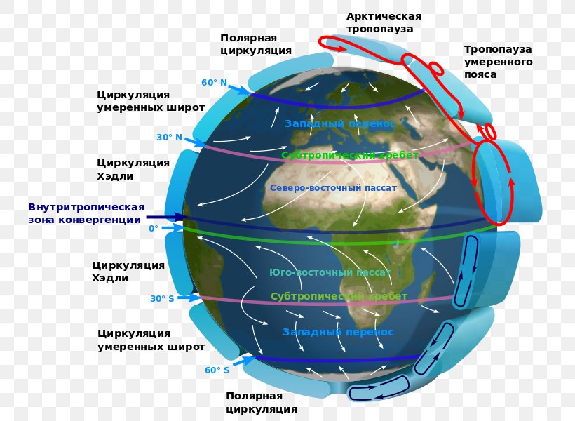 Southern Hemisphere Northern Hemisphere Prevailing Winds Trade Winds, PNG, 759x600px, Southern Hemisphere, Atmosphere Of Earth, Atmospheric Circulation, Climate, Diagram Download Free